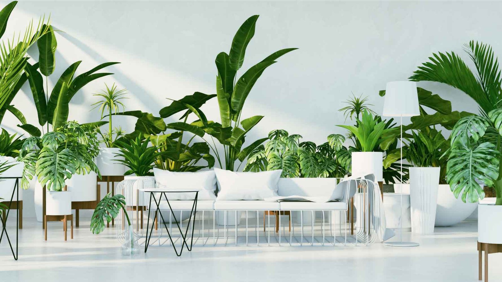 Home decor