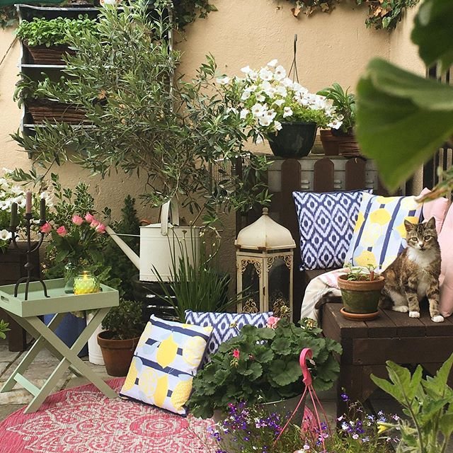 Small Garden Design Ideas