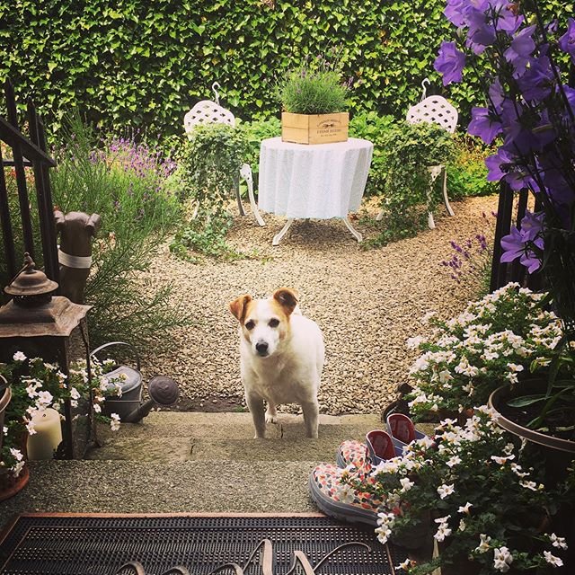 Small Garden Ideas