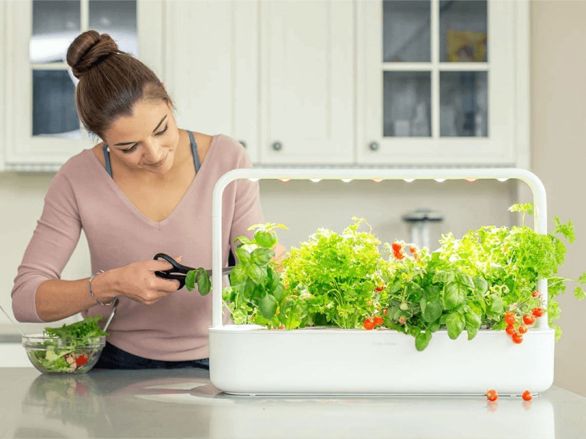 Click and Grow review Smart Gardening 9