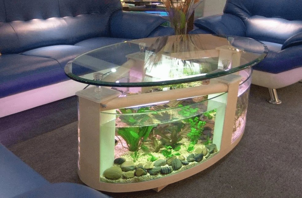 fish-tank-coffee-table